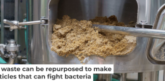 Some compounds in waste produced in the brewing process could be repurposed for antibacterial drugs. Iuri Gagarin/iStock via Getty Images